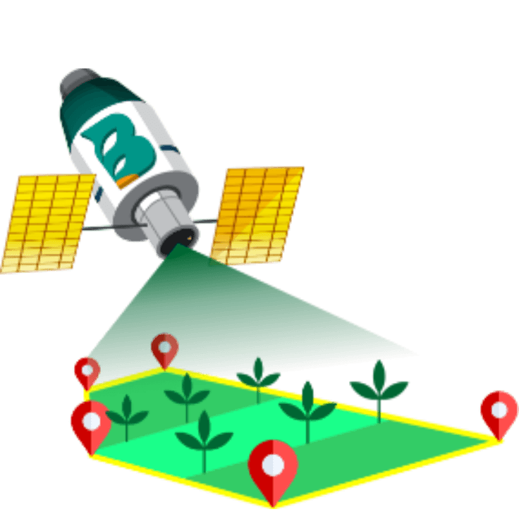 Satellite view of a farm