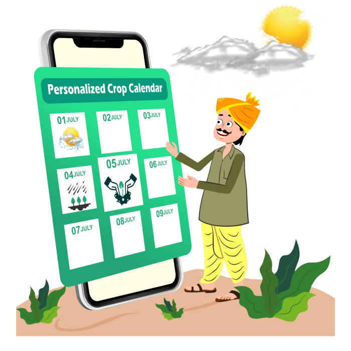 Personalised farm solution illustration